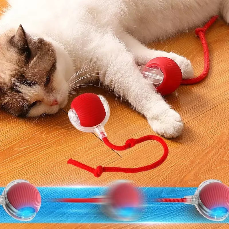 Smart Cat Toys Pet Toys Automatic Rolling Ball Fake Tail Rechargeable Electric Pet Interactive Toy Dog Cat Imitate Mouse