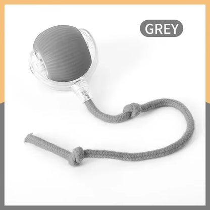 Smart Cat Toys Pet Toys Automatic Rolling Ball Fake Tail Rechargeable Electric Pet Interactive Toy Dog Cat Imitate Mouse